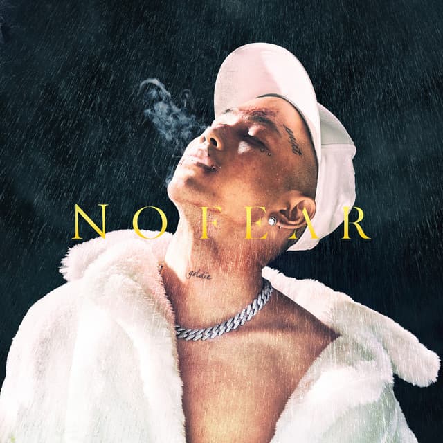 NO FEAR (DELUXE) album artwork